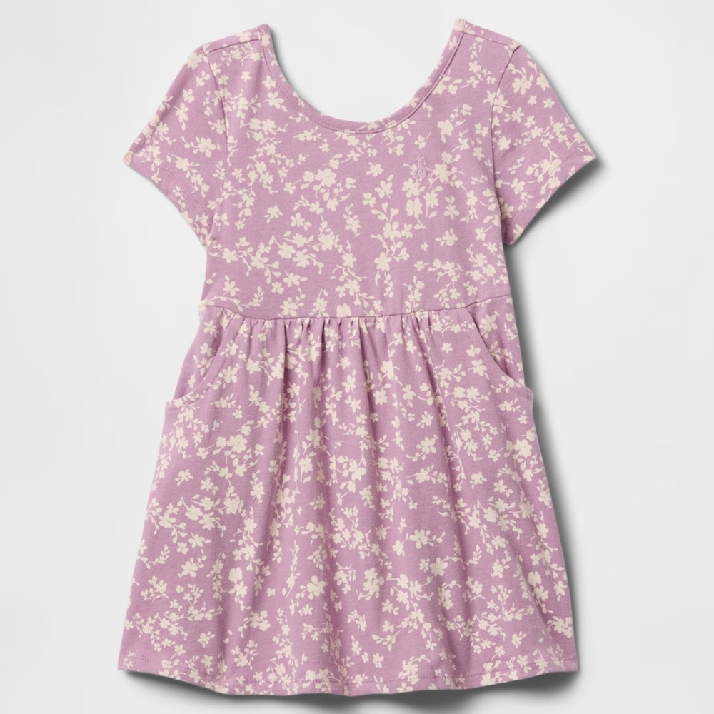 Toddler baby gap dress
